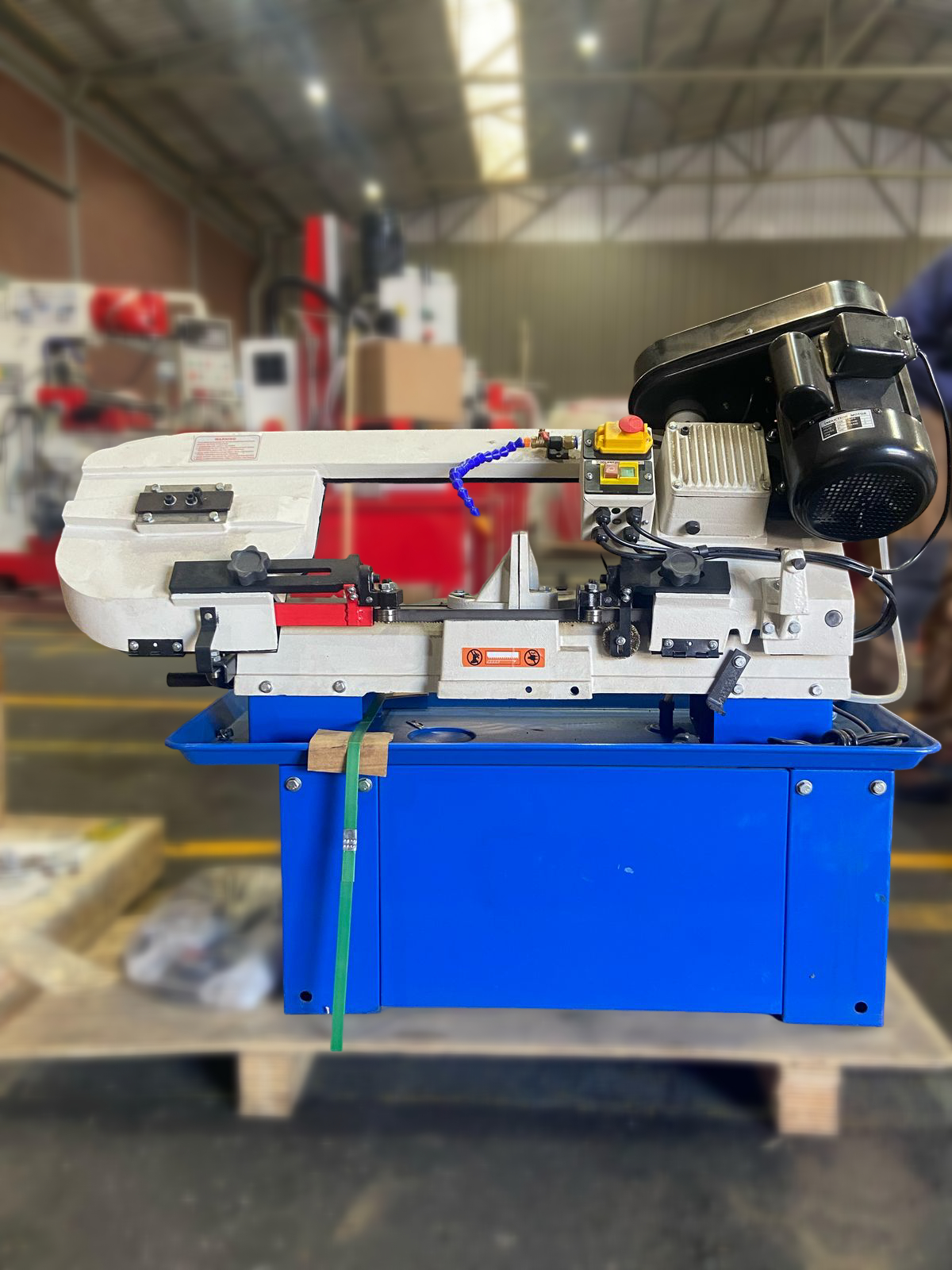 Sierra Cinta - Violetta 7